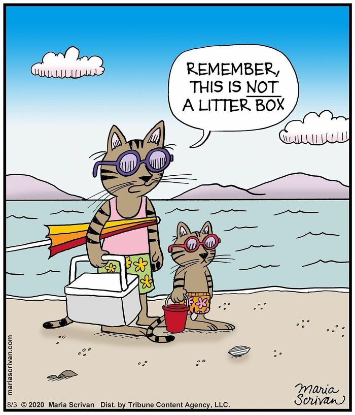 Wait, These Comics Actually Nailed Everyday Weirdness!