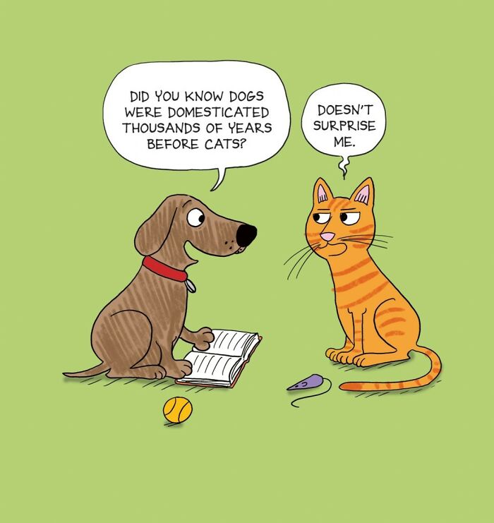 Wait, These Comics Actually Nailed Everyday Weirdness!