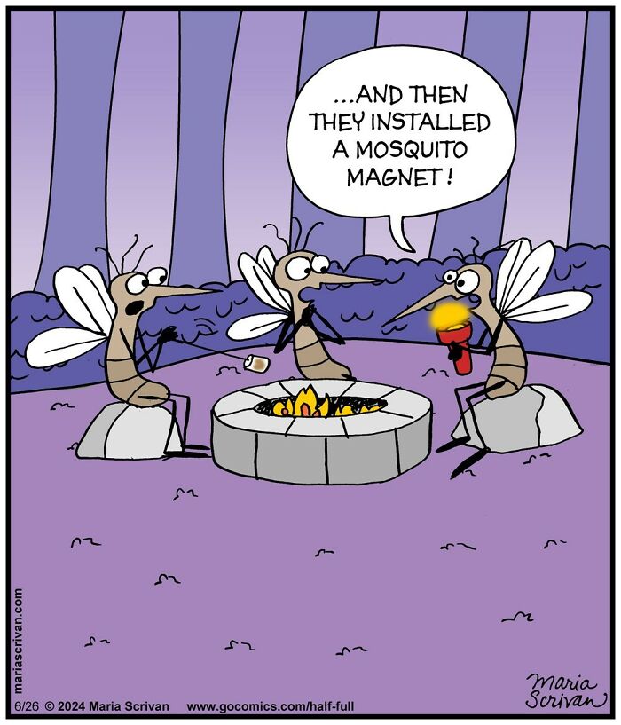 Wait, These Comics Actually Nailed Everyday Weirdness!