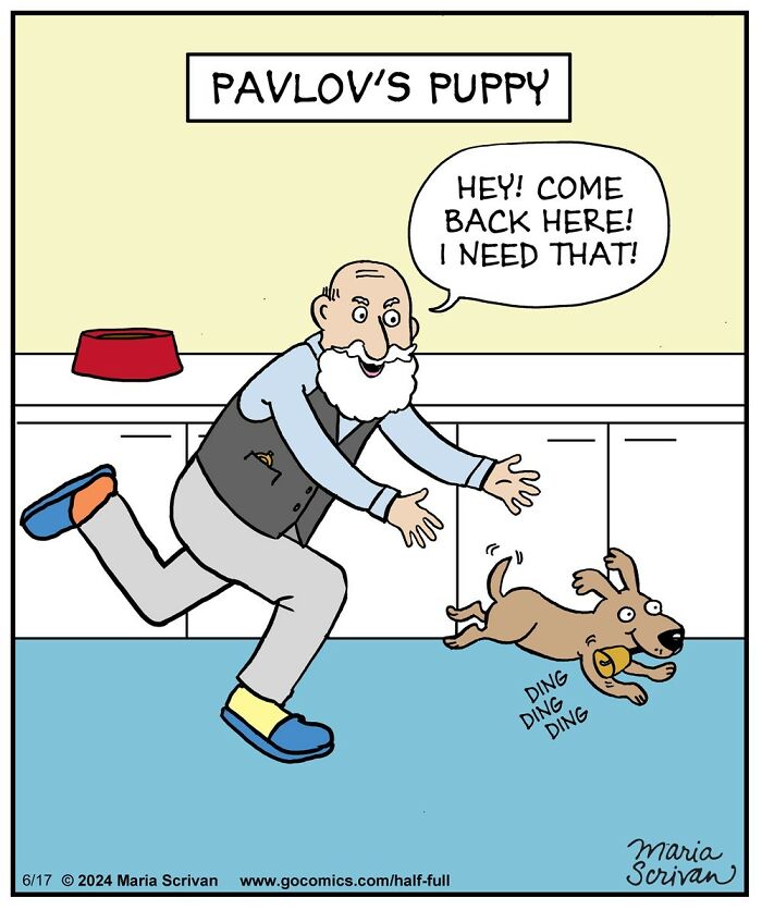 Wait, These Comics Actually Nailed Everyday Weirdness!