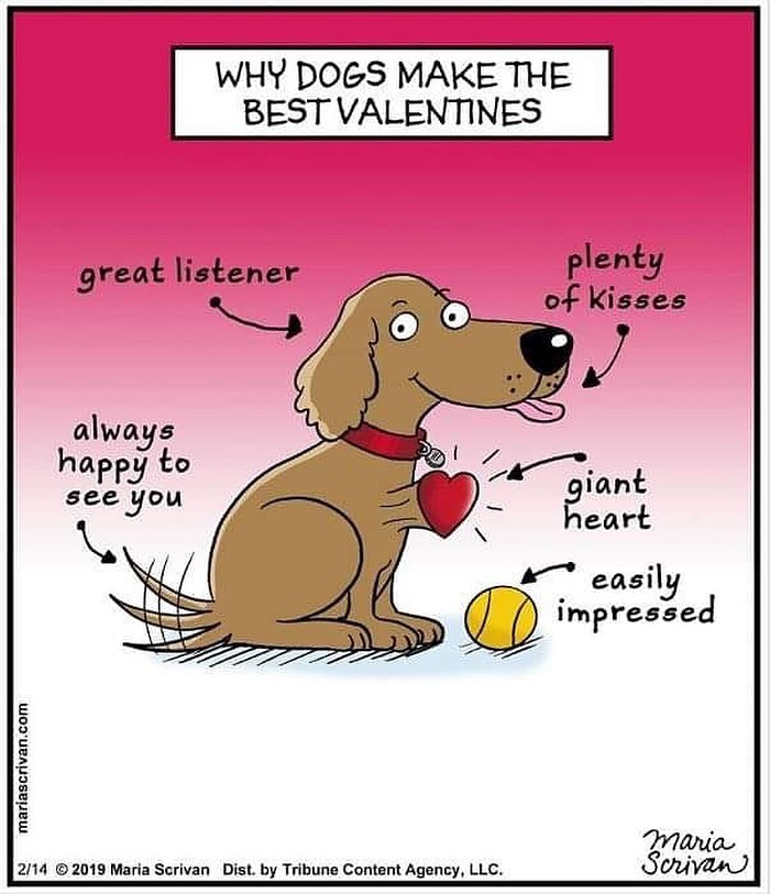 Wait, These Comics Actually Nailed Everyday Weirdness!