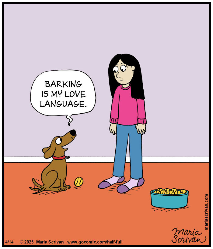 Wait, These Comics Actually Nailed Everyday Weirdness!