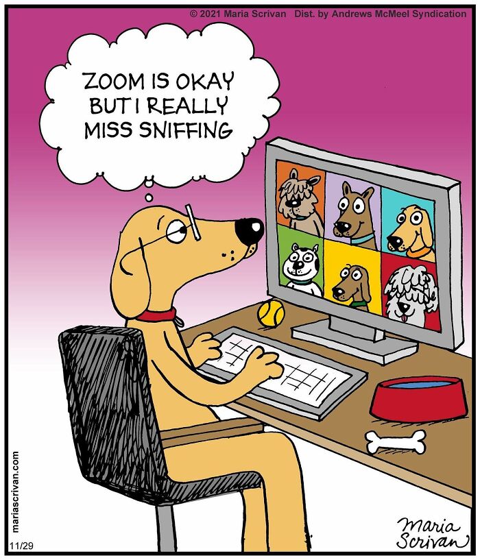 Wait, These Comics Actually Nailed Everyday Weirdness!