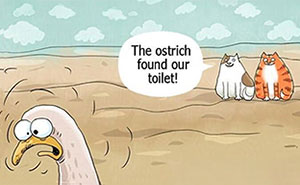 50 Cat Comics That'll Make You Go 'Aww' and Maybe Laugh Too