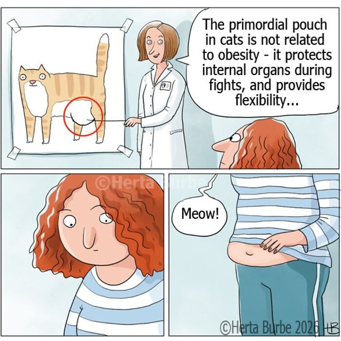 50 Cat Comics That'll Make You Go 'Aww' and Maybe Laugh Too