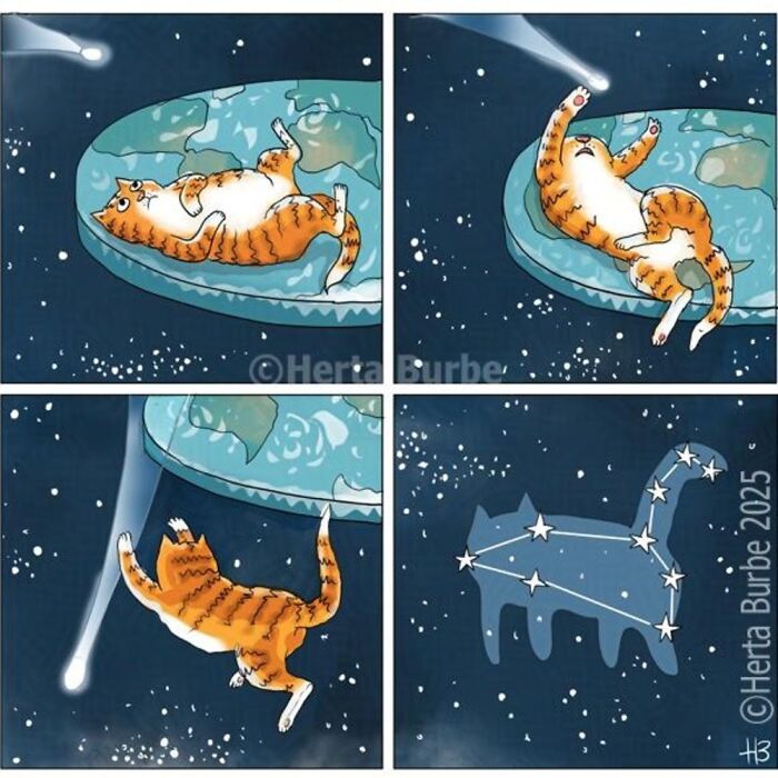 50 Cat Comics That'll Make You Go 'Aww' and Maybe Laugh Too