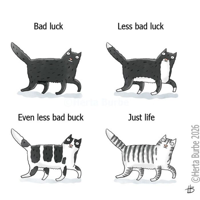 50 Cat Comics That'll Make You Go 'Aww' and Maybe Laugh Too