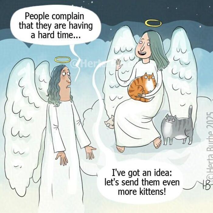50 Cat Comics That'll Make You Go 'Aww' and Maybe Laugh Too