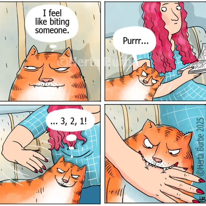 50 Cat Comics That'll Make You Go 'Aww' and Maybe Laugh Too