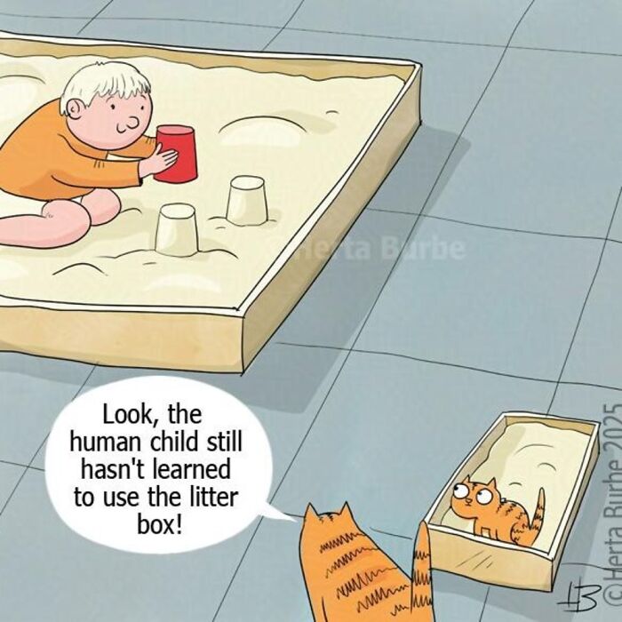 50 Cat Comics That'll Make You Go 'Aww' and Maybe Laugh Too