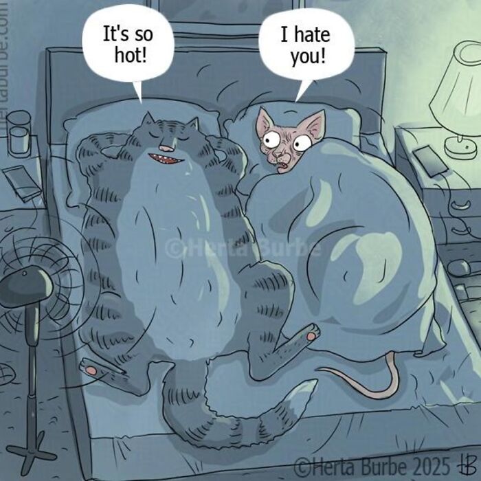 50 Cat Comics That'll Make You Go 'Aww' and Maybe Laugh Too