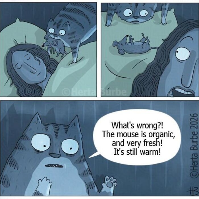 50 Cat Comics That'll Make You Go 'Aww' and Maybe Laugh Too