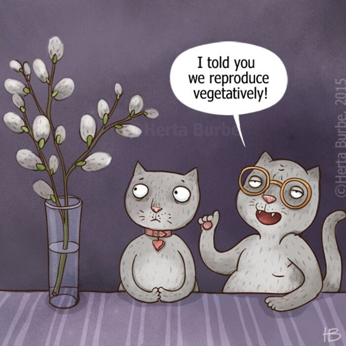 50 Cat Comics That'll Make You Go 'Aww' and Maybe Laugh Too