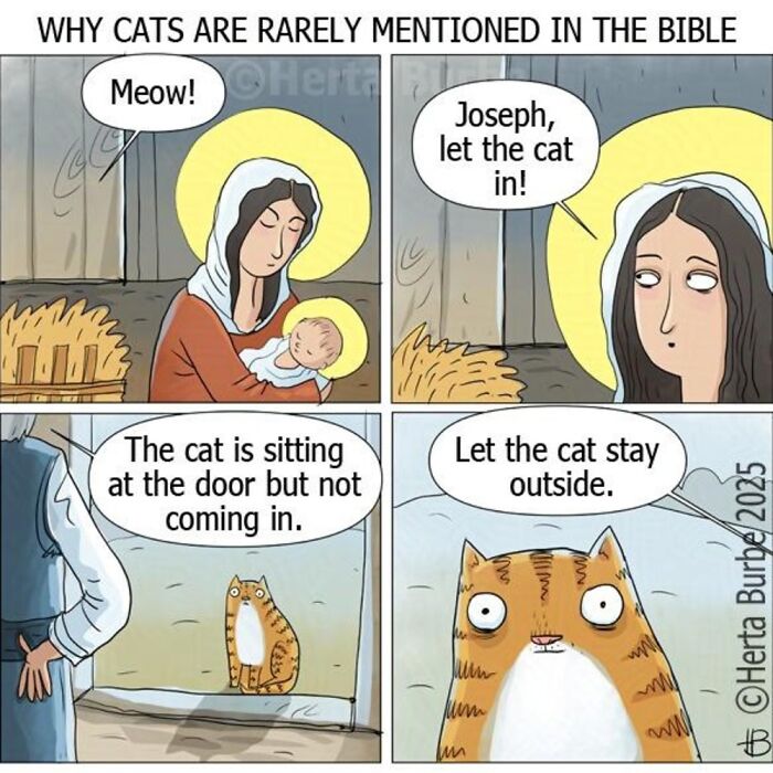 50 Cat Comics That'll Make You Go 'Aww' and Maybe Laugh Too