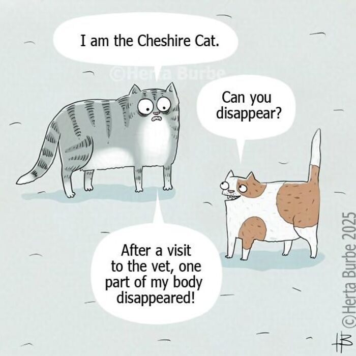 50 Cat Comics That'll Make You Go 'Aww' and Maybe Laugh Too