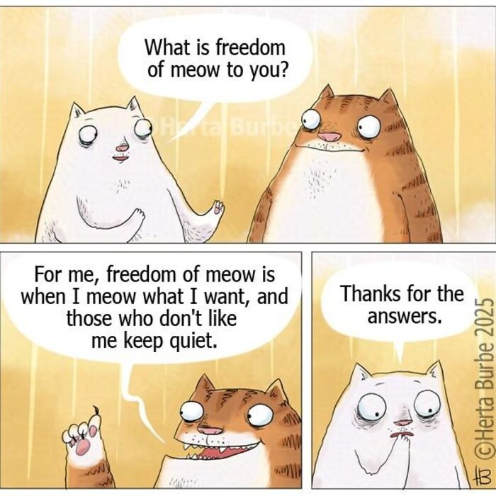 50 Cat Comics That'll Make You Go 'Aww' and Maybe Laugh Too
