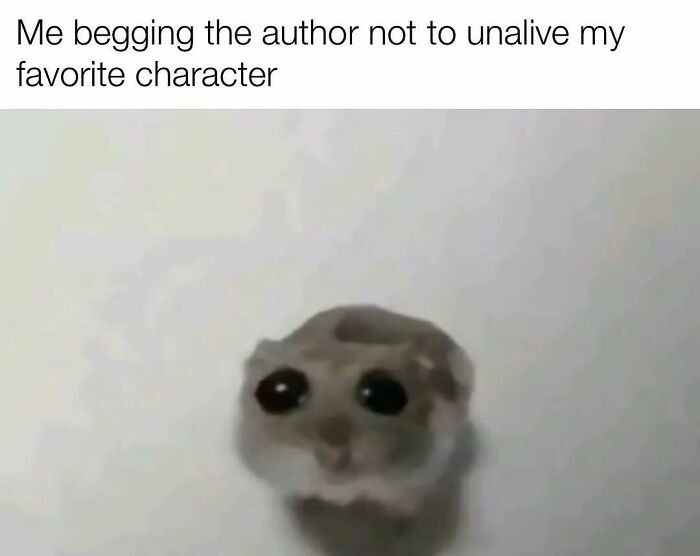 Wait, Writers Actually Made Memes THIS Funny?