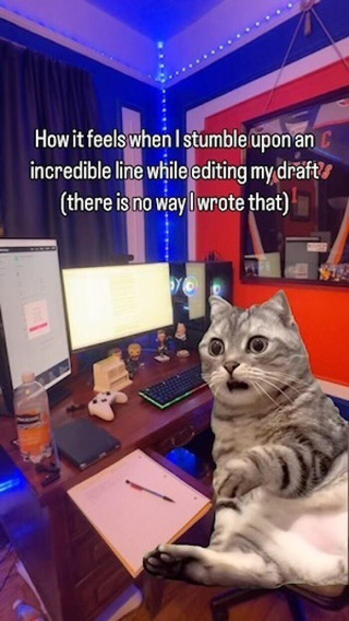 Wait, Writers Actually Made Memes THIS Funny?