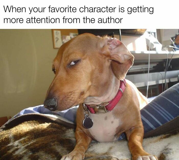 Wait, Writers Actually Made Memes THIS Funny?