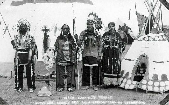 So… What Did Native Americans Really Use To Wipe Their Butts?
