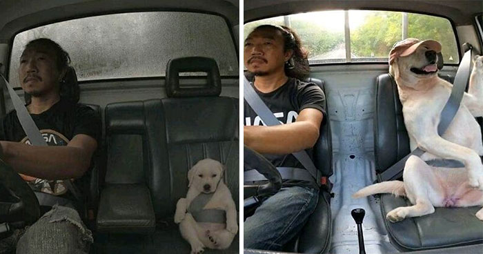 Wait Till You See These Pics That Will Totally Make Your Day Better