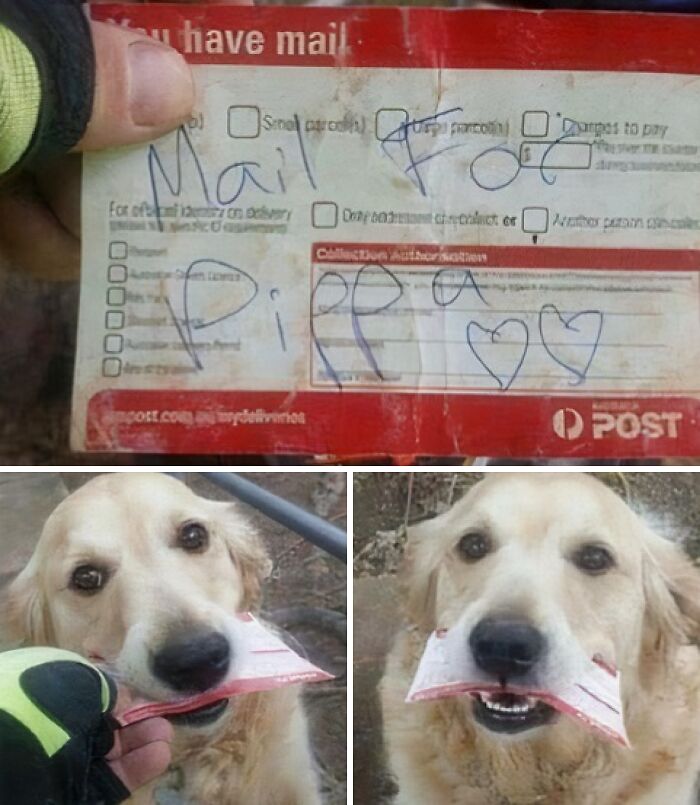 Wait Till You See These Pics That Will Totally Make Your Day Better