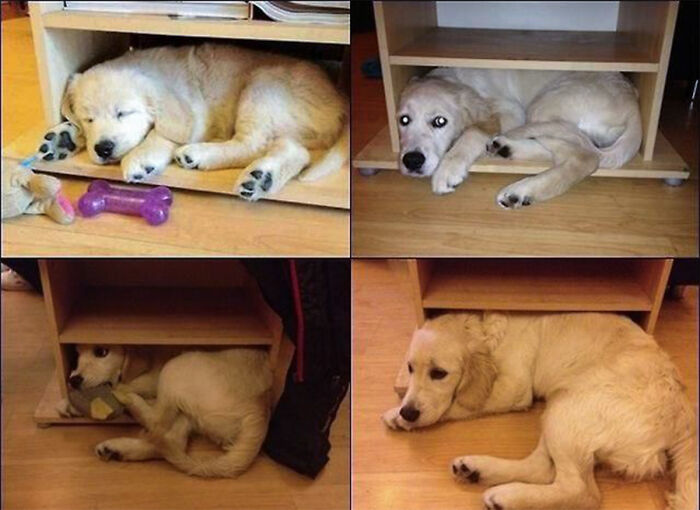 Wait Till You See These Pics That Will Totally Make Your Day Better