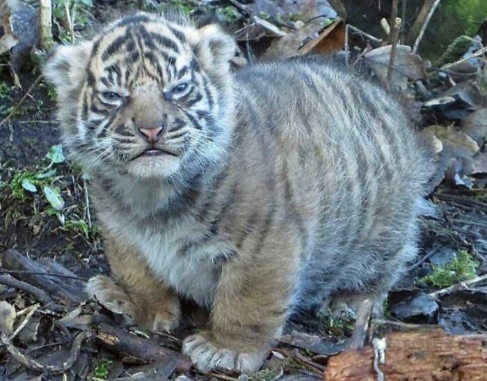 Wait Till You See These Pics That Will Totally Make Your Day Better