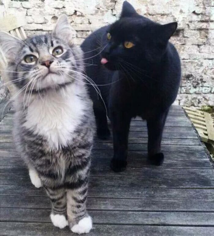 Wait Till You See These Pics That Will Totally Make Your Day Better