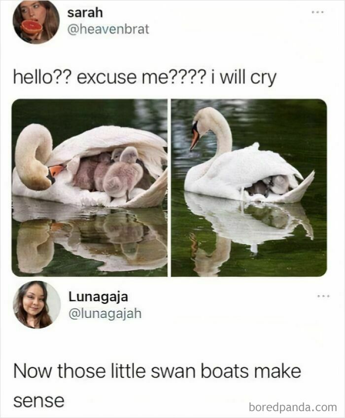 Wait Till You See These Pics That Will Totally Make Your Day Better