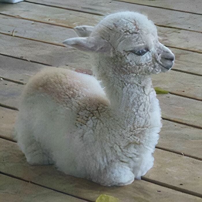 Wait Till You See These Pics That Will Totally Make Your Day Better