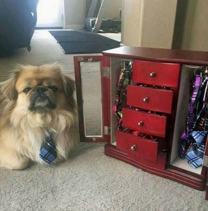 Wait Till You See These Pics That Will Totally Make Your Day Better