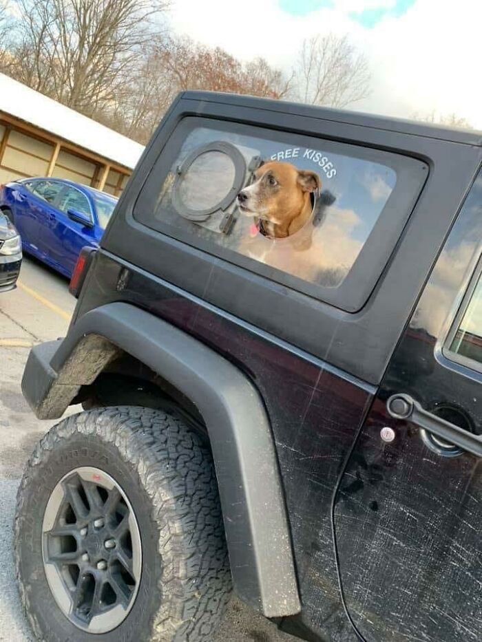 Wait Till You See These Pics That Will Totally Make Your Day Better