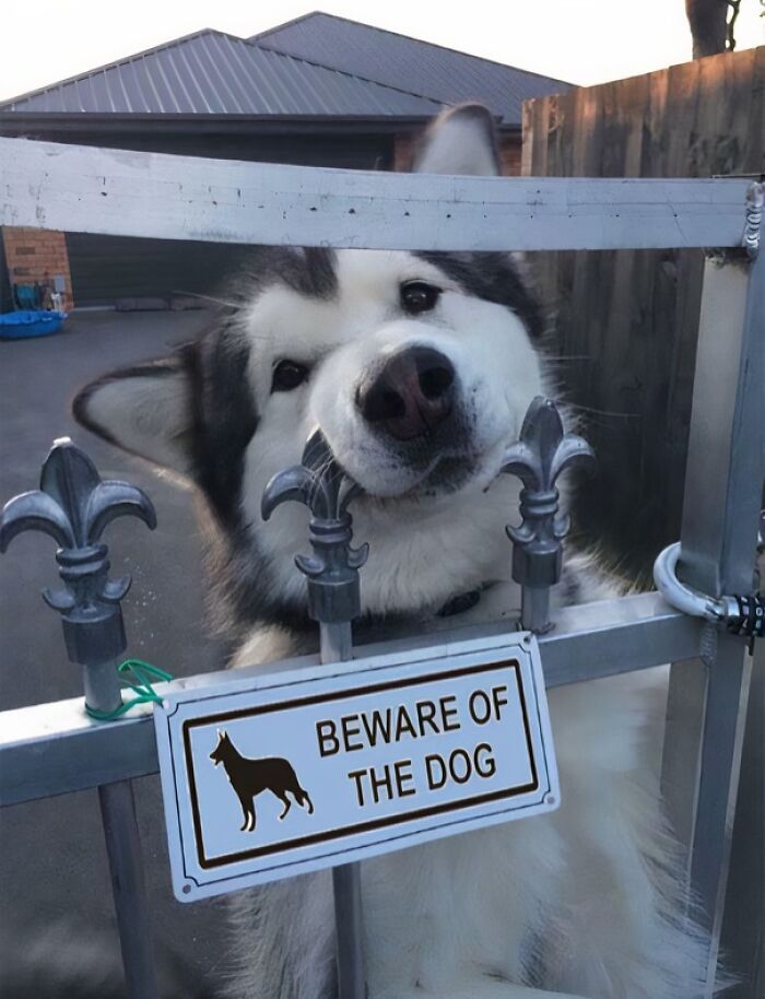 Wait Till You See These Pics That Will Totally Make Your Day Better