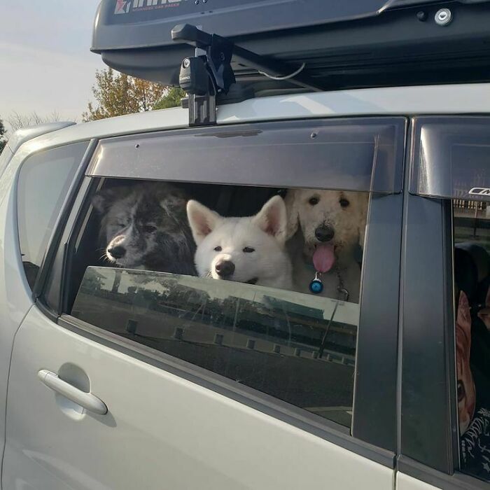 Wait Till You See These Pics That Will Totally Make Your Day Better