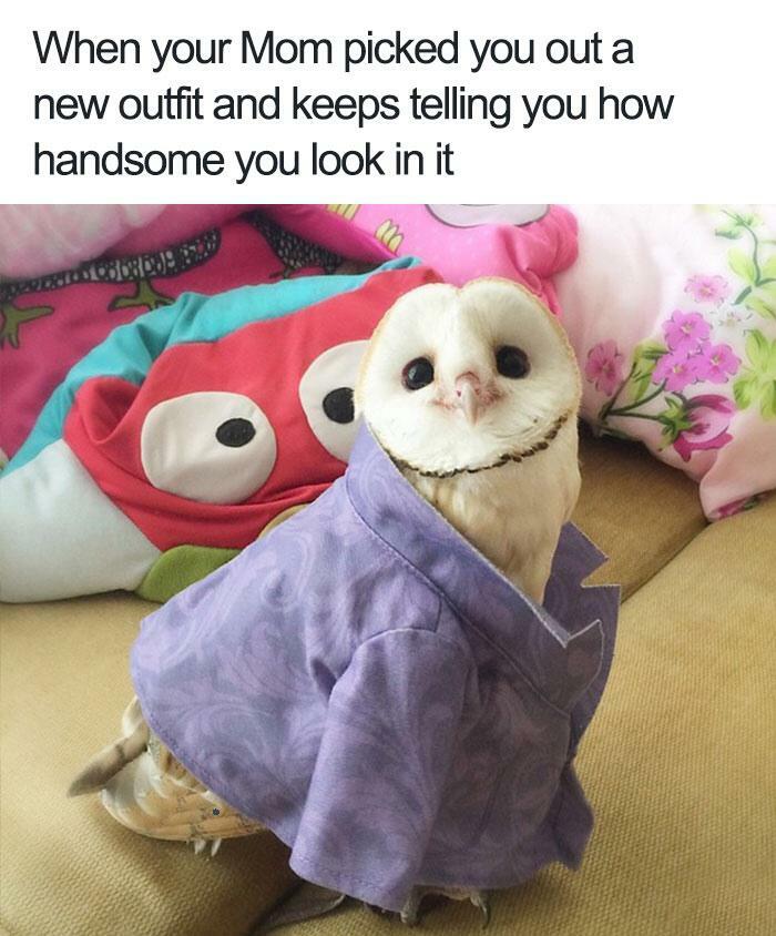 Wait Till You See These Pics That Will Totally Make Your Day Better