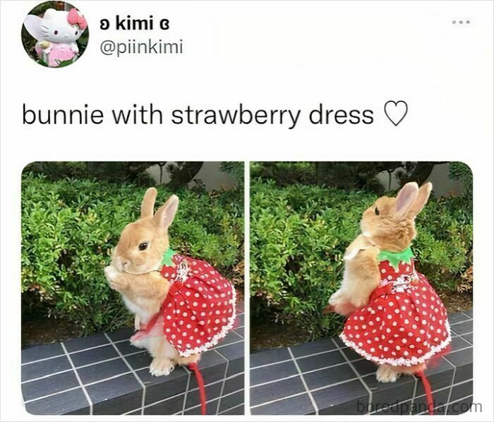 Wait Till You See These Pics That Will Totally Make Your Day Better