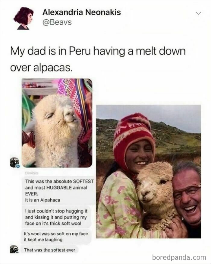 Wait Till You See These Pics That Will Totally Make Your Day Better
