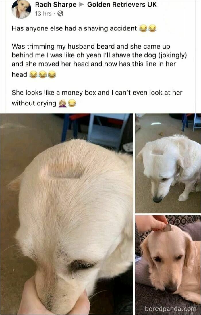 Wait Till You See These Pics That Will Totally Make Your Day Better