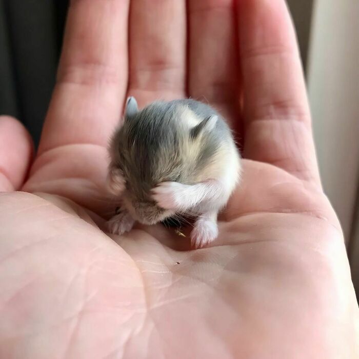 Wait Till You See These Pics That Will Totally Make Your Day Better