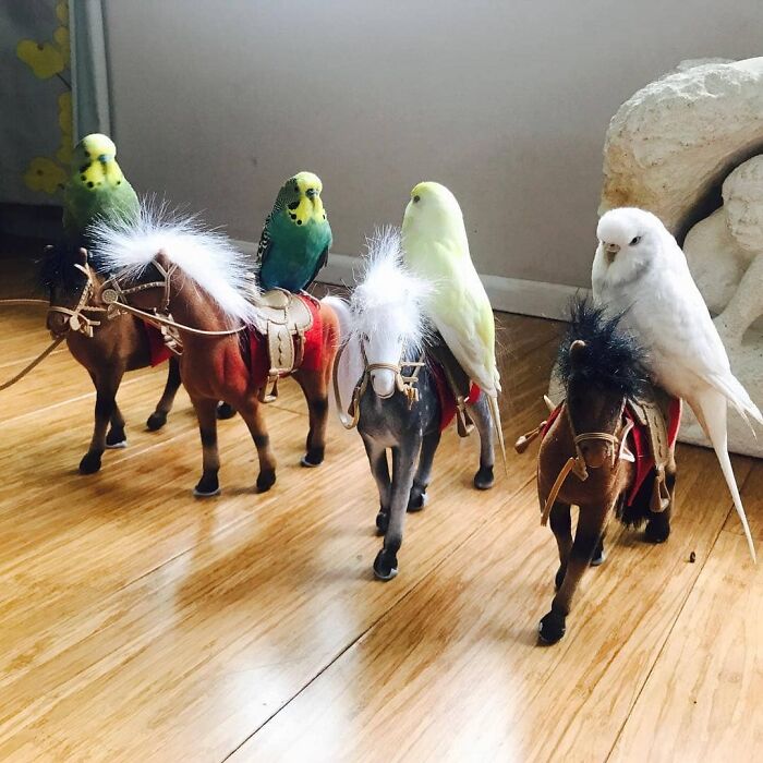 Wait Till You See These Pics That Will Totally Make Your Day Better