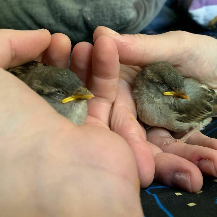 Wait Till You See These Pics That Will Totally Make Your Day Better