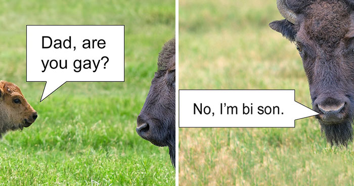 Wait, These Dad Jokes Actually Make Us Laugh Every Time!
