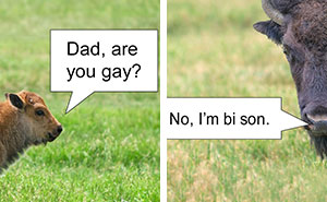 Wait, These Dad Jokes Actually Make Us Laugh Every Time!