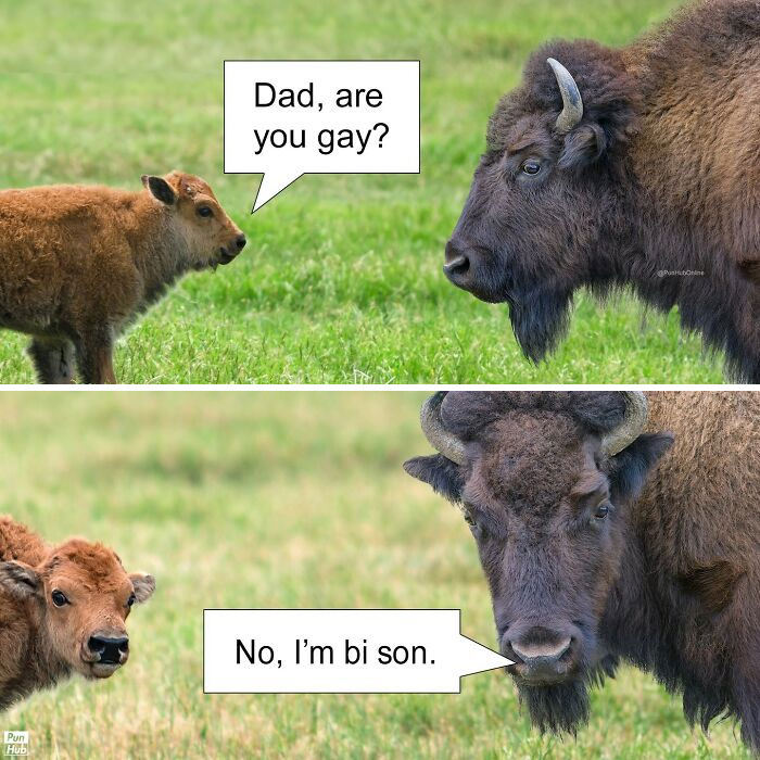 Wait, These Dad Jokes Actually Make Us Laugh Every Time!