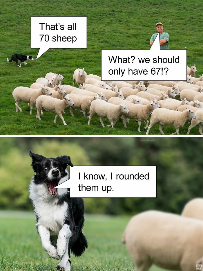 Wait, These Dad Jokes Actually Make Us Laugh Every Time!