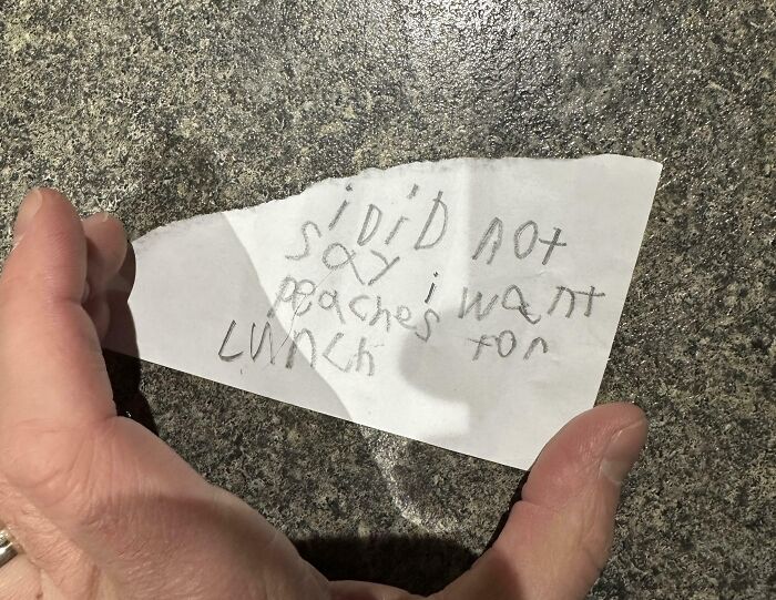 Peach Drama: Kid’s Lunchbox Note
