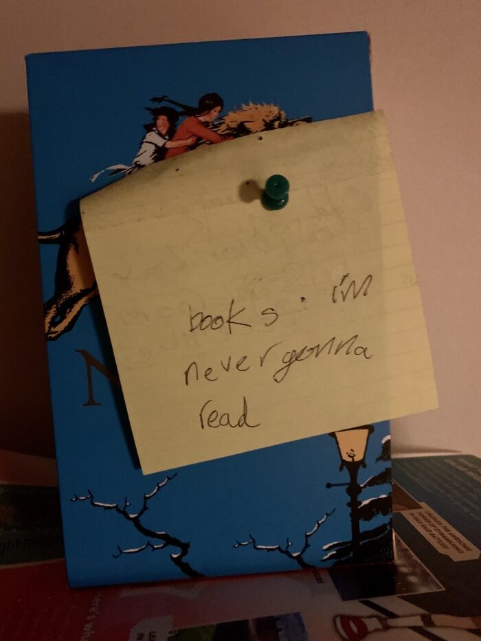 10-Year-Old's Meh Reaction To Narnia Books