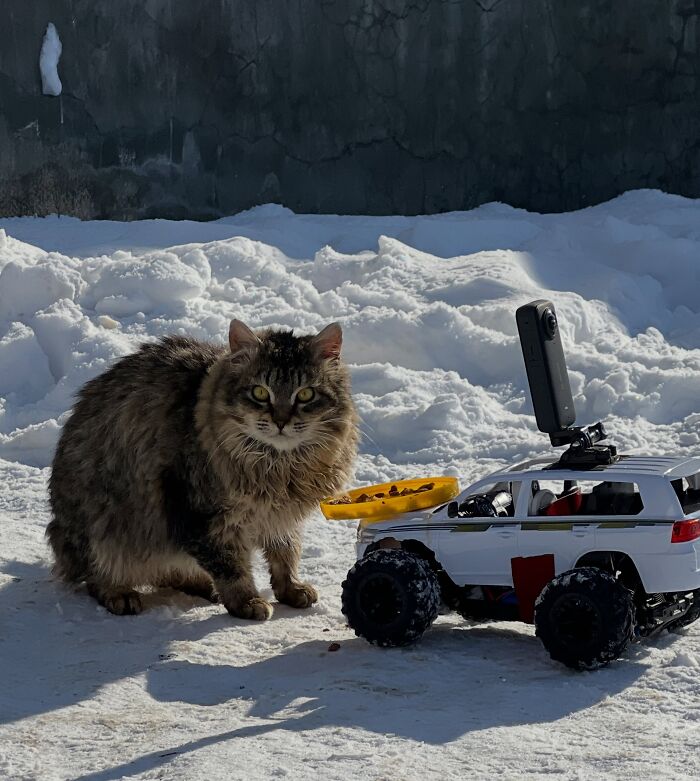 This Dude Uses Drones and RC Cars to Feed Stray Animals, and It’s Basically the Cutest Thing Ever
