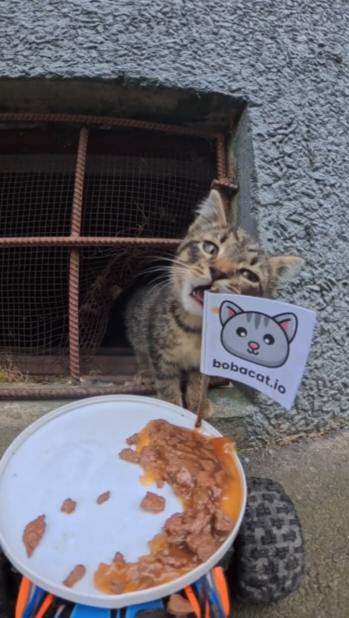 This Dude Uses Drones and RC Cars to Feed Stray Animals, and It’s Basically the Cutest Thing Ever